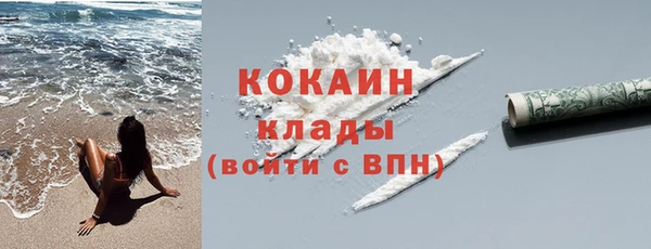 тгк Богородицк