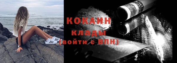 стафф Богданович