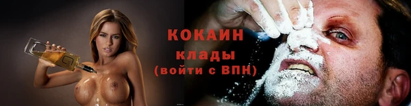 стафф Богданович