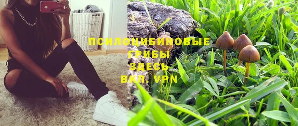 стафф Богданович