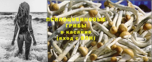 тгк Богородицк
