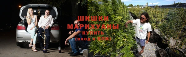стафф Богданович