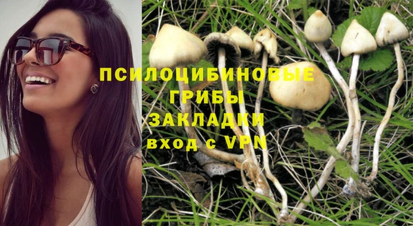 тгк Богородицк