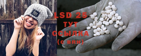 стафф Богданович