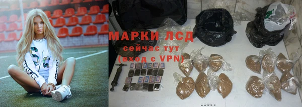 стафф Богданович